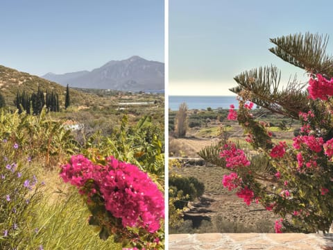 Natural landscape, Other, Garden view, Mountain view, Sea view, group of guests