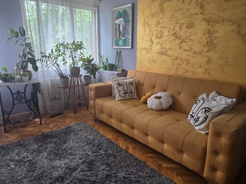 Aparmani Djuric Apartment in Vojvodina