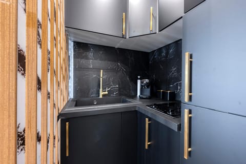 Studio Apartment in Île-de-France