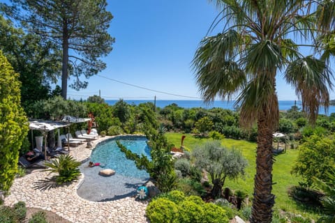 Day, Garden, Swimming pool, sunbed