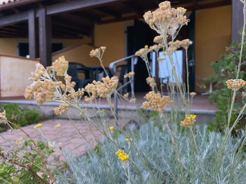 Property building, Patio, Garden