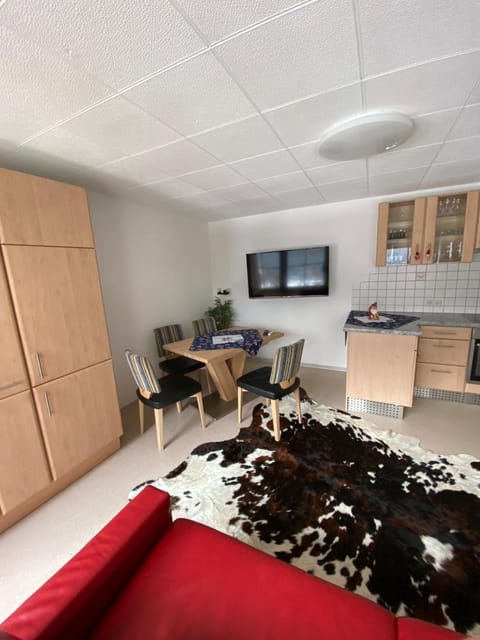 Living room, kitchen
