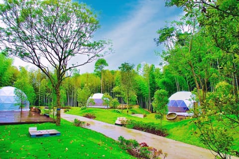 Property building, Day, Garden view