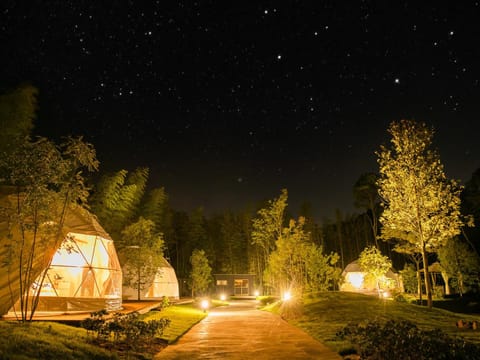 Property building, Night