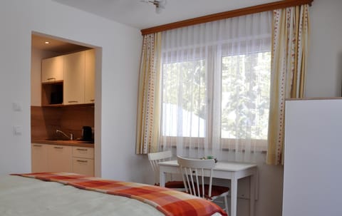 Haus Kocher Apartment in Schladming