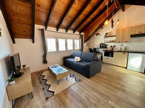 TV and multimedia, Kitchen or kitchenette, Living room, Seating area, Dining area, minibar, pet friendly, stove