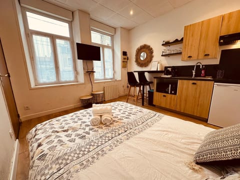 Bed, TV and multimedia, Kitchen or kitchenette, Photo of the whole room, Dining area, Bedroom, minibar, stove