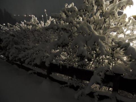 Night, Natural landscape, Winter