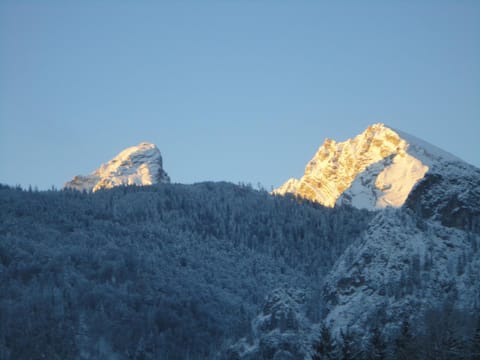 View (from property/room)