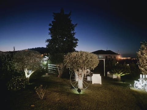 Night, Garden