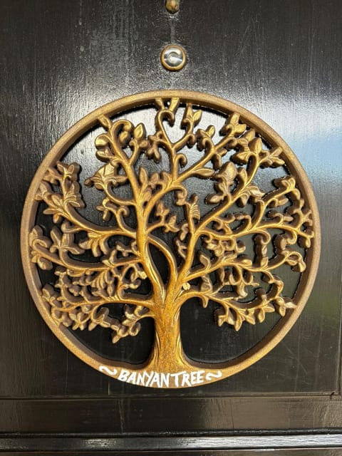 Banyan Tree House in Óbidos