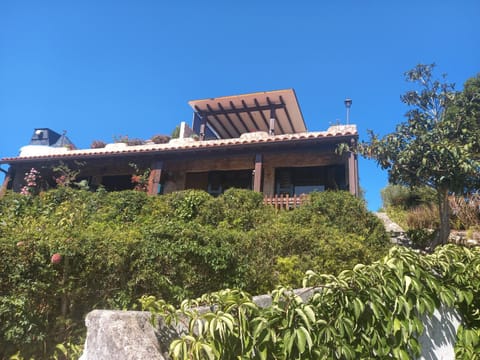 Banyan Tree House in Óbidos