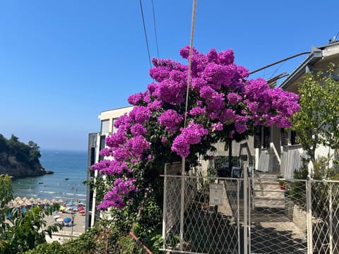 Family Guest House Apartment in Ulcinj