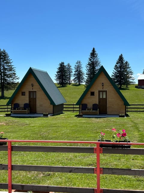 Šumski raj Chalet in Montenegro