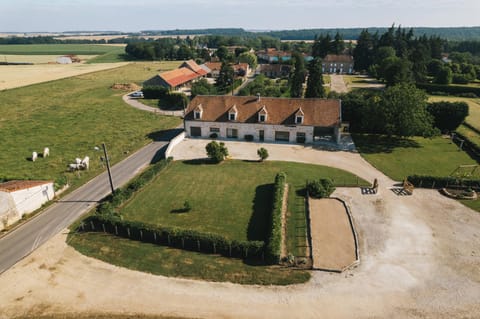 Bird's eye view, Garden view