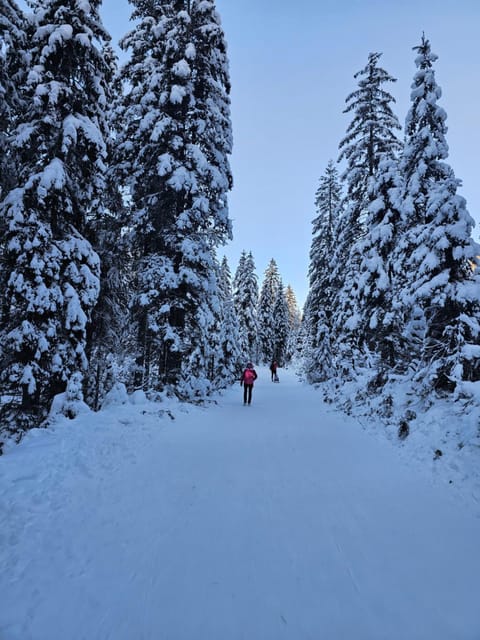 Panoramablick Exklusiv Apartment in Villach