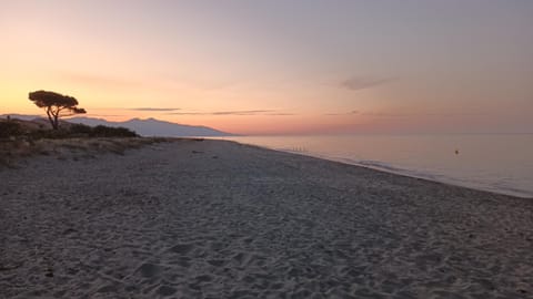 Beach, Sunrise
