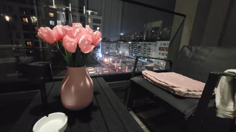 Studio apartment Lora Lux - Bulevar Apartment in Sarajevo