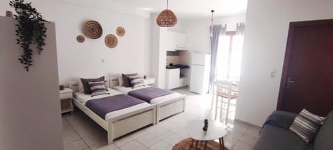 Cozy studio 3 Naxos Apartment in Naxos