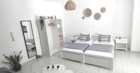 Cozy studio 3 Naxos Apartment in Naxos