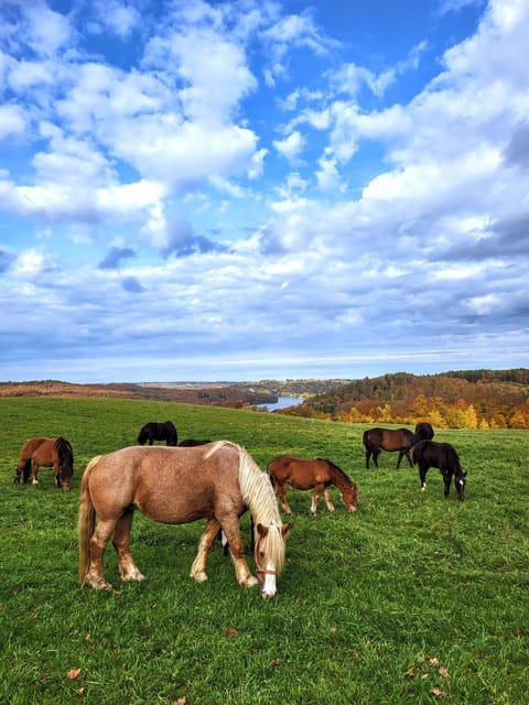 Jaśkowe Wzgórze domki na wynajem, balia - sauna, Szymbark DOMEK NR 1 Villa in Pomeranian Voivodeship