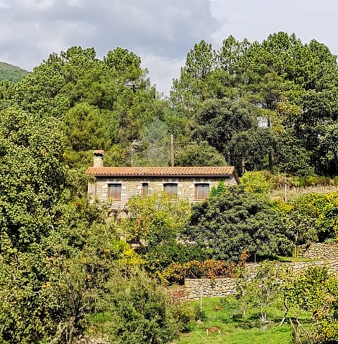Property building, Off site