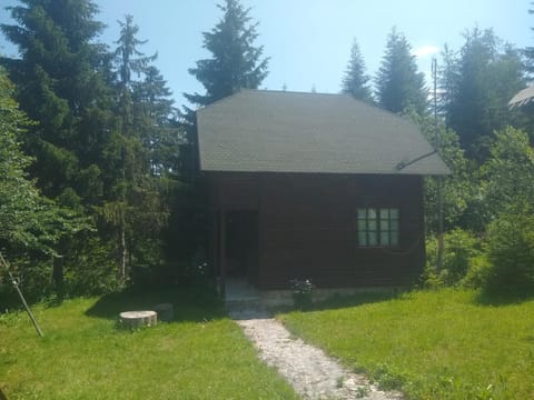 Apartmani Gnezdo Apartment in Zlatibor District, Serbia