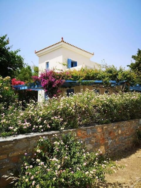 Property building, Garden, Garden view
