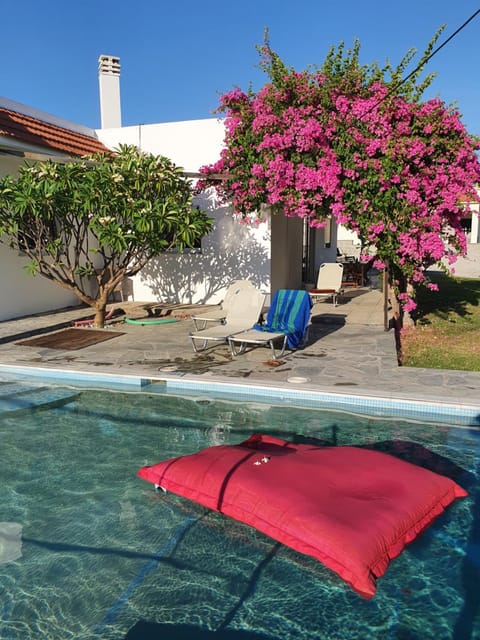 Day, Garden, Garden view, Pool view, Swimming pool, sunbed