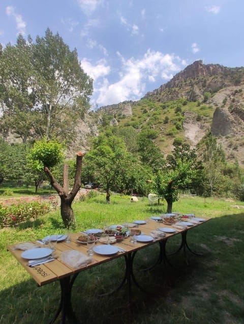 Food and drinks, Garden view, Breakfast