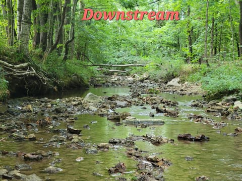 Natural landscape, View (from property/room)