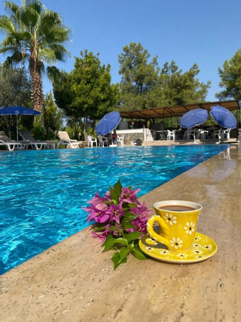 Restaurant/places to eat, Swimming pool, Breakfast