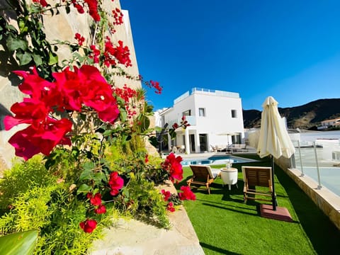 Garden, Swimming pool