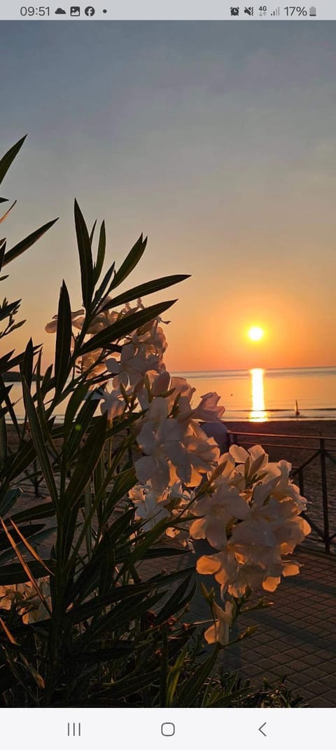 Appartamenti Maria 3 House in Vieste