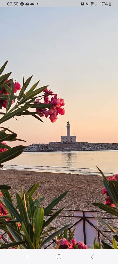 Appartamenti Maria 3 House in Vieste