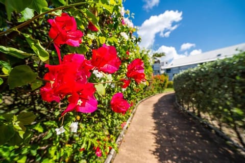 STUDIO HORIZON LE GOSIER sans coupure d'eau Apartment in Le Gosier