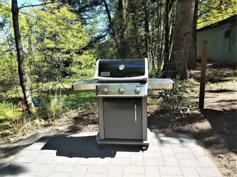 PA West Side Paradise House in Port Angeles