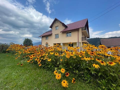 Property building, Day, Natural landscape, Garden, Garden view