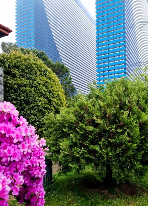 Property building, Garden