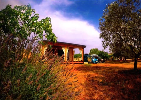 Property building, Garden