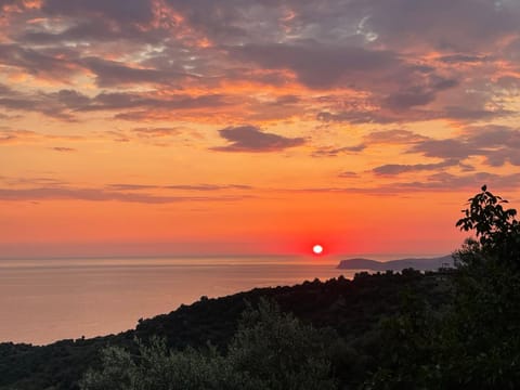 Natural landscape, Sea view, Sunset