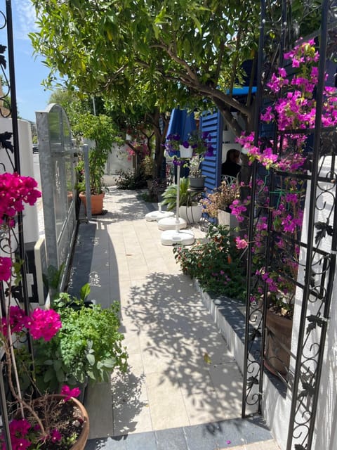 Wonderland Bed and Breakfast in San Teodoro