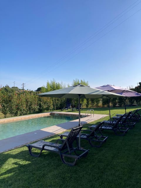 Natural landscape, Garden, Swimming pool, sunbed