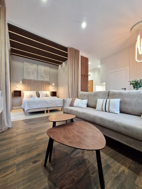 Bed, Living room, Photo of the whole room