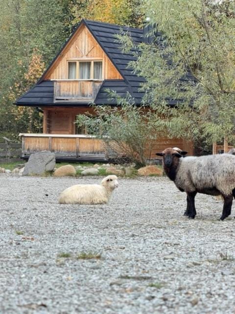 Property building, Natural landscape, pet friendly