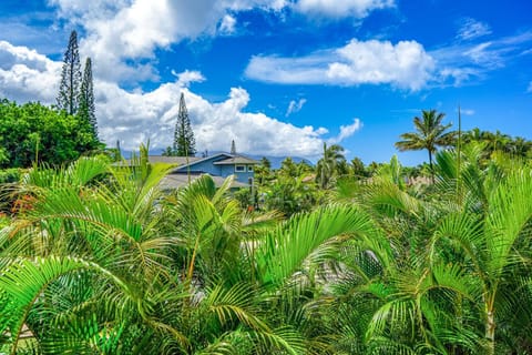 Paniolo #202 A & B Hotel in Princeville