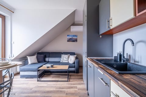 Kitchen or kitchenette, Living room, Seating area, stove