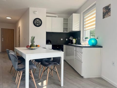 Kitchen or kitchenette, Dining area, oven, stove