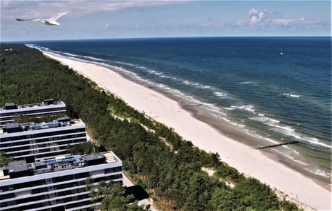 Bird's eye view, Balcony/Terrace