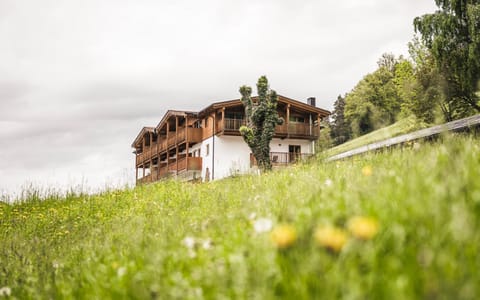 Property building, Spring, Natural landscape, Garden, Garden view